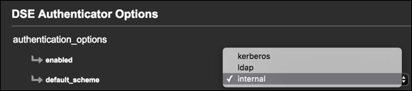 DSE Authentication default scheme options