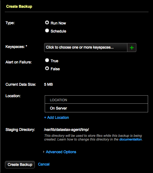 Create Backup: Run Now dialog